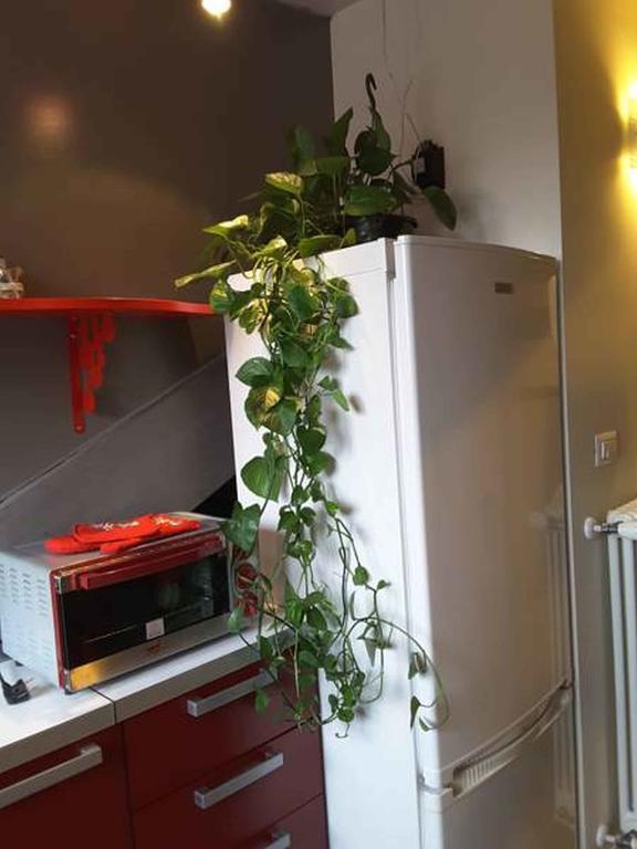 Appartamento Nonno Pinin Torino Esterno foto